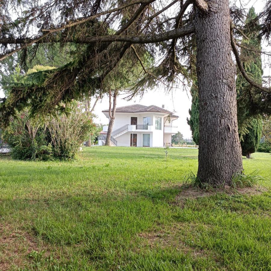 Villa Casa Michelangelo à Morrovalle Extérieur photo