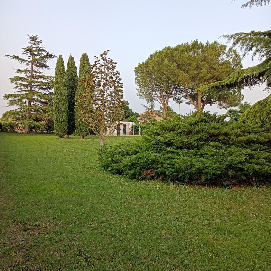 Villa Casa Michelangelo à Morrovalle Extérieur photo